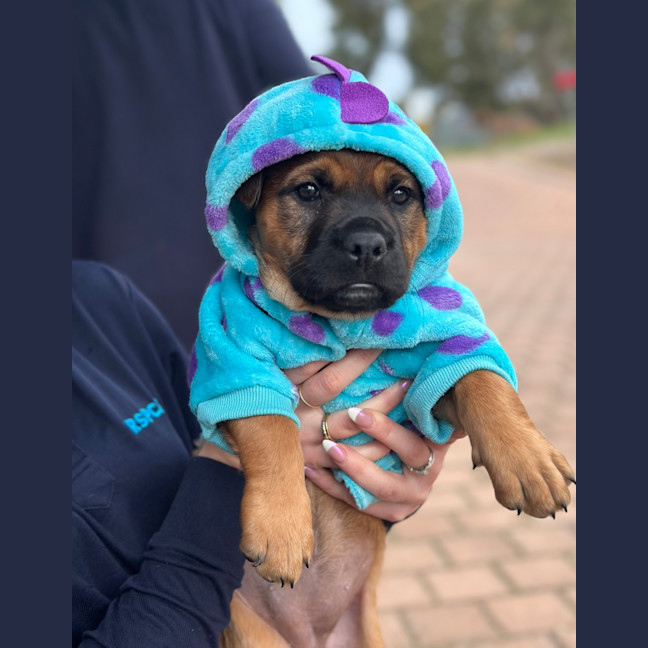 Photo of Tori Spring