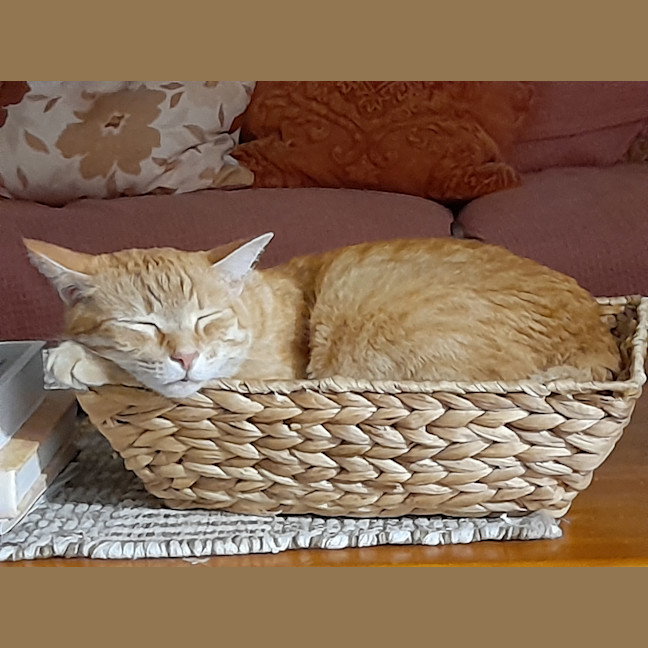 Photo of Flynn