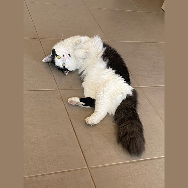 Photo of Cindy