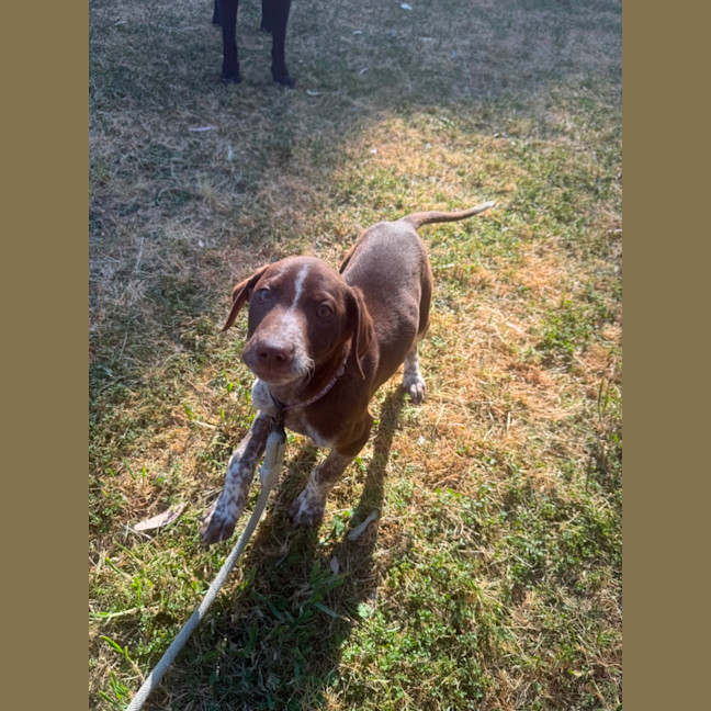 Photo of Buddy