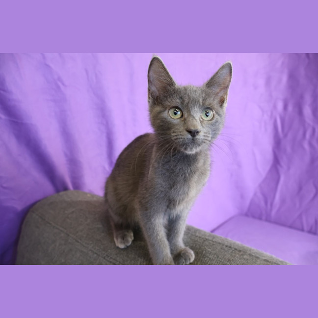 Photo of Valjean