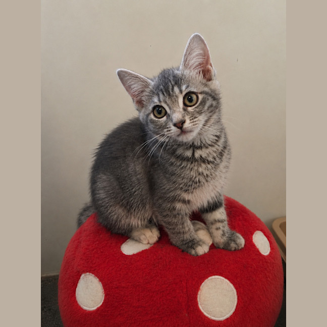 Photo of Isla