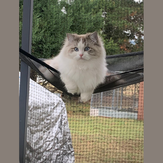 Photo of Sullivan And Theodore