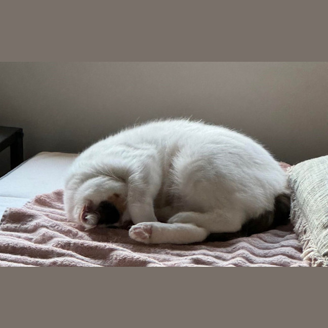 Photo of Fleur