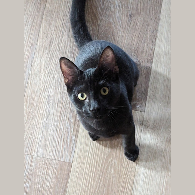 Photo of Sosage And Lucky