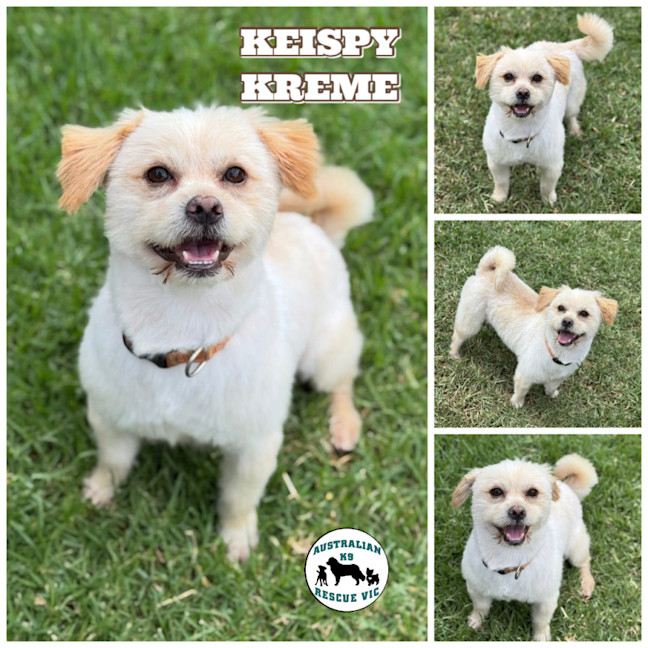 Photo of Krispy Kreme 