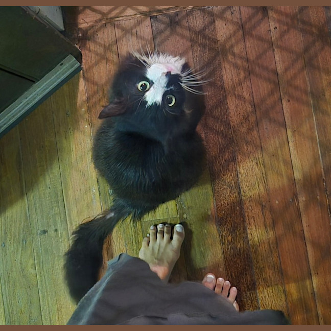 Photo of Cain (0004)