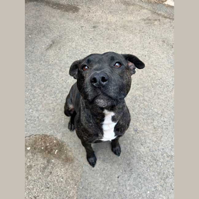 Photo of Miguel Los Santos