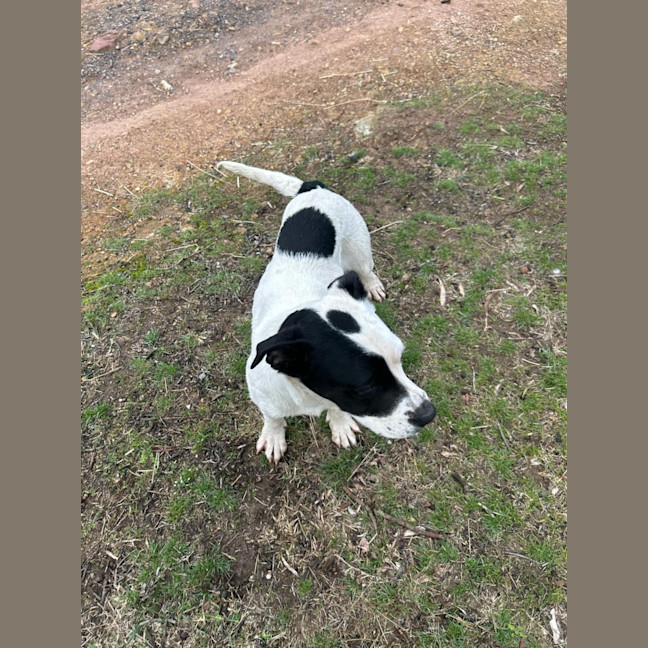 Photo of Ramona