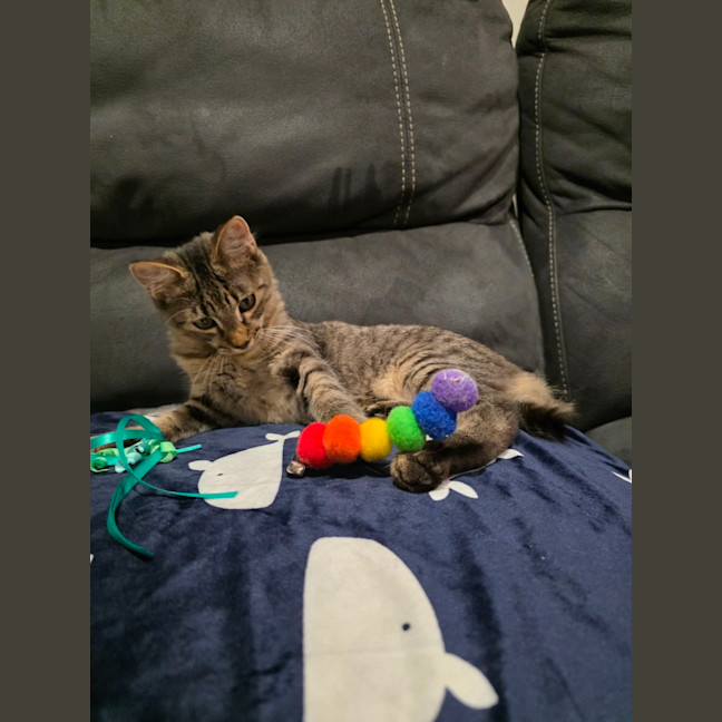 Photo of Quaza