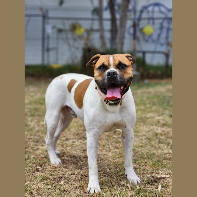 Photo of 🥯 Crumpet 5721 🥯