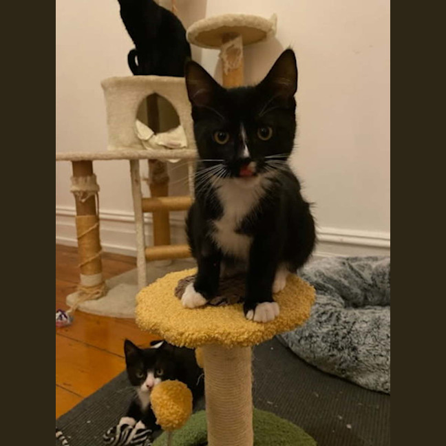 Photo of Bernie & Stripey