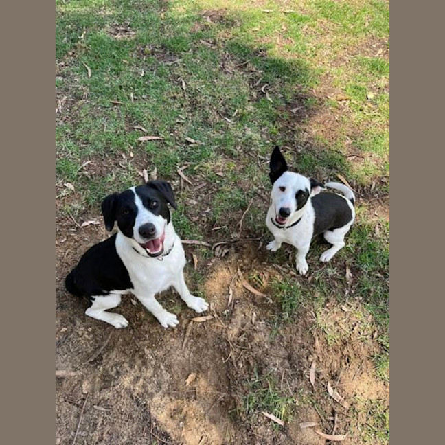 Photo of Bull And Frederick