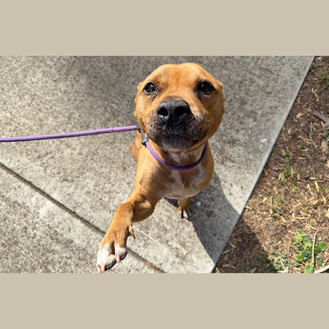 Photo of Buddy