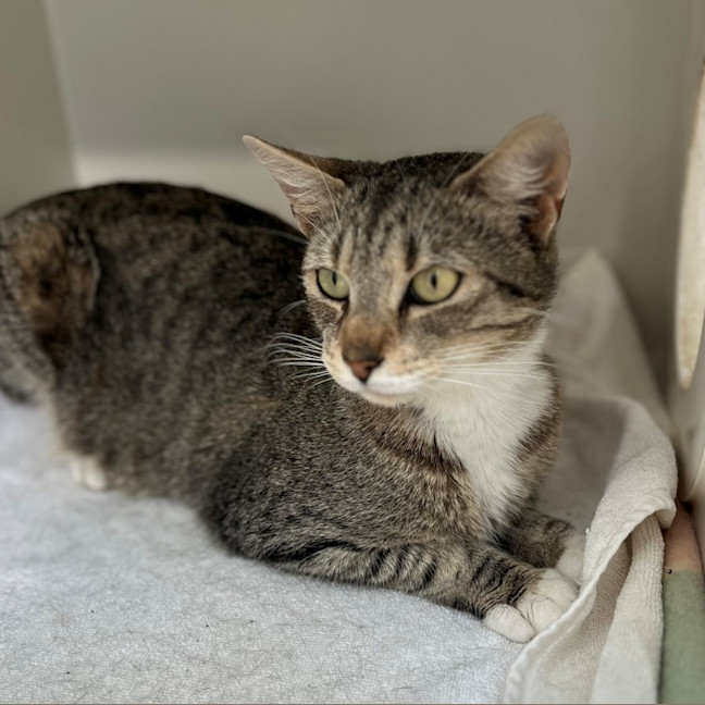 Photo of Arwen (9076)