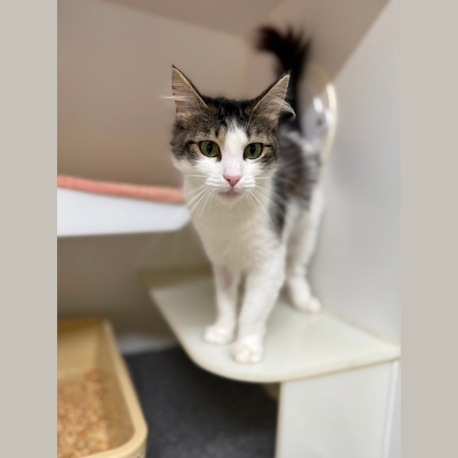 Photo of 🕶️ Ruth 6779 🕶️