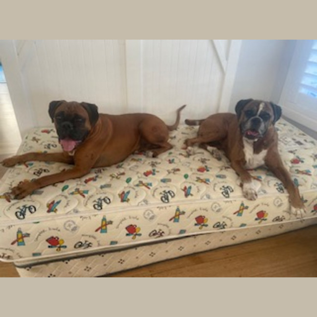 Photo of Lloyd And Harry