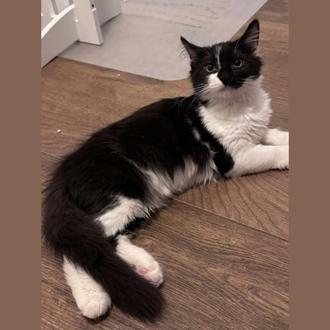 Photo of  Basil & Otis