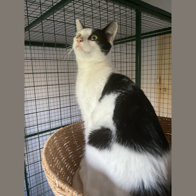 Photo of Matilda