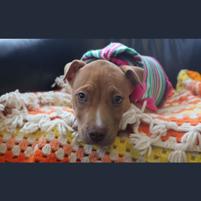 Photo of Motu