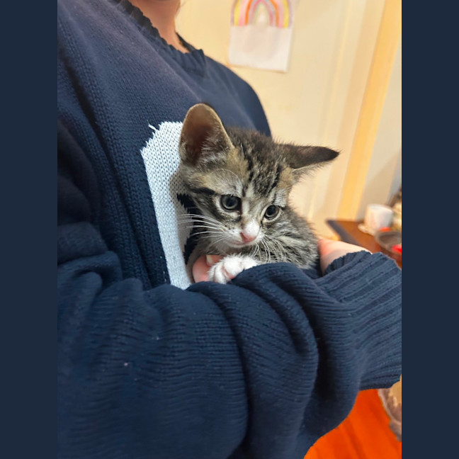 Photo of Ziggy And Mars