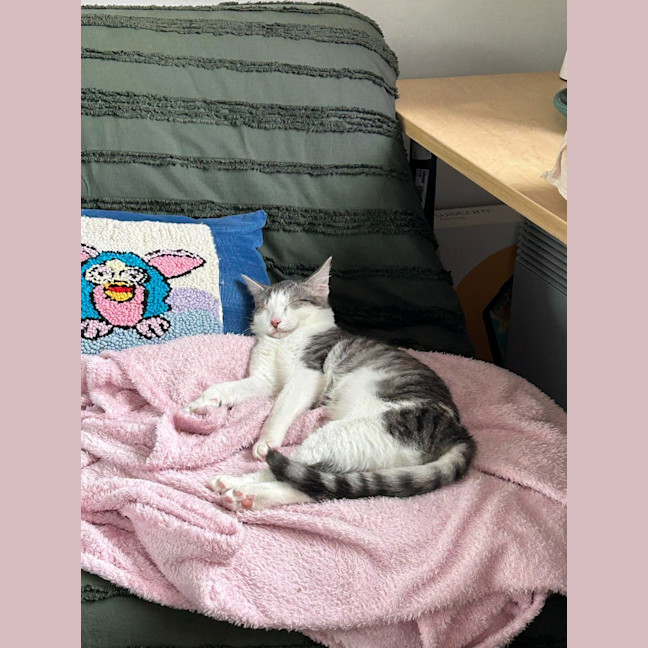 Photo of Annie