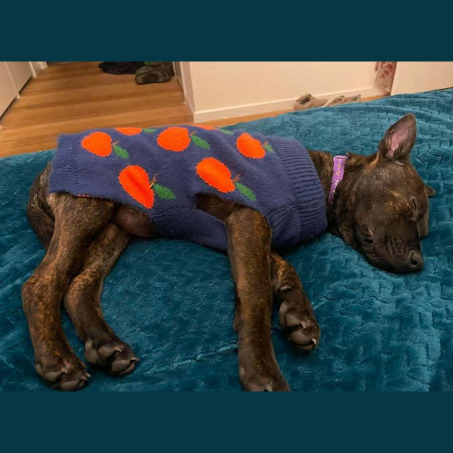 Photo of Ruby