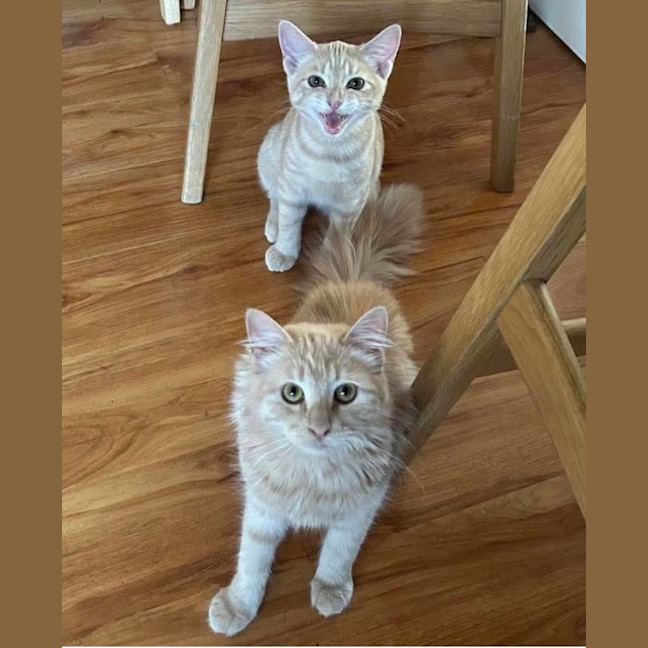 Photo of Jack & Jill 