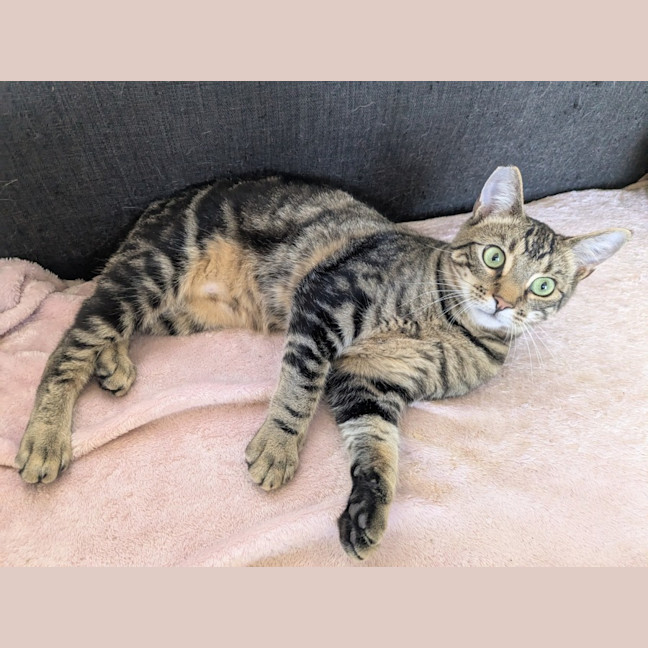 Photo of Spark