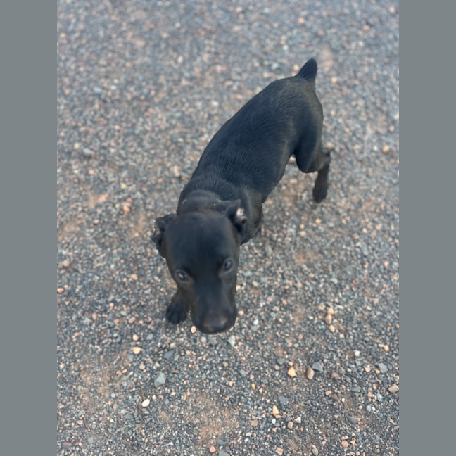 Photo of Felice (Astrid)