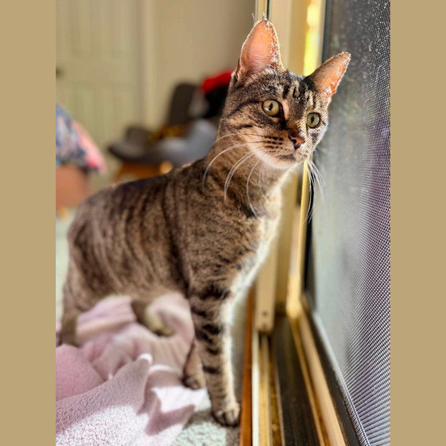 Photo of Ricky