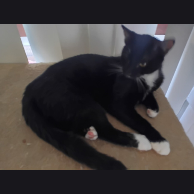 Photo of Moon