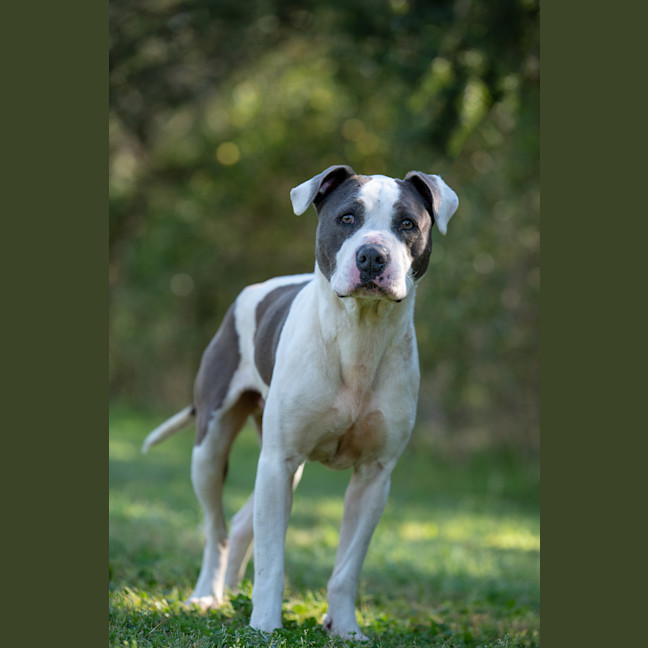 Photo of Zeus