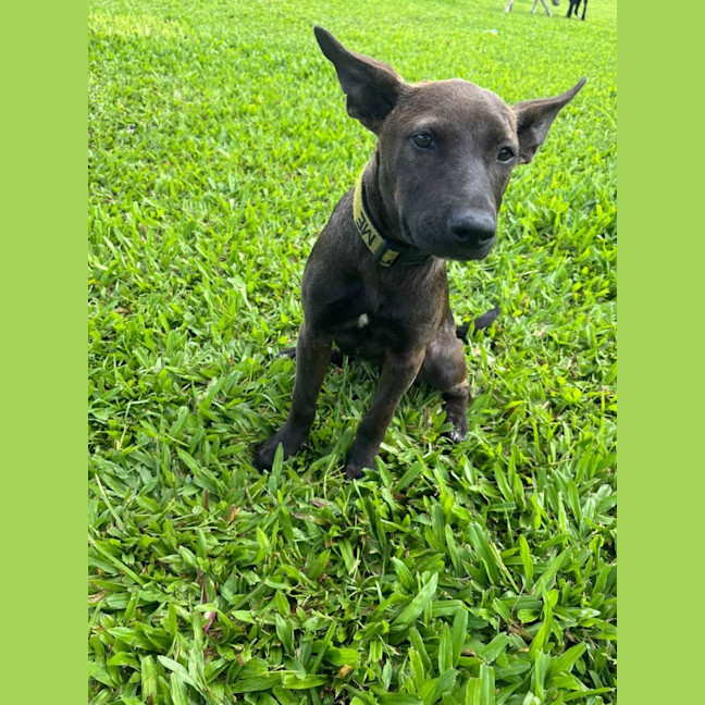 Photo of Lil Olive