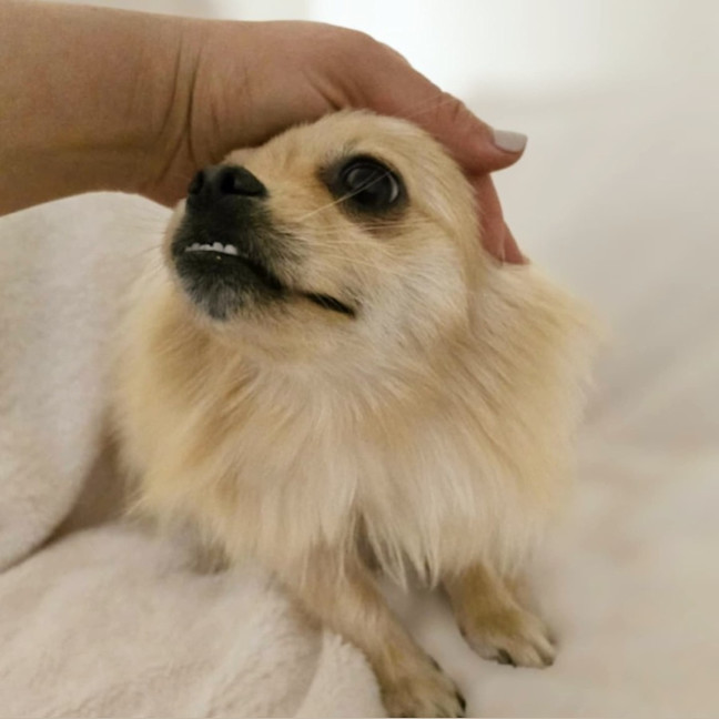 Photo of Mia 