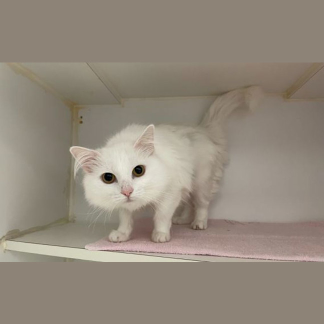 Photo of Baby