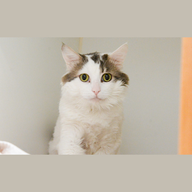 Photo of Berry
