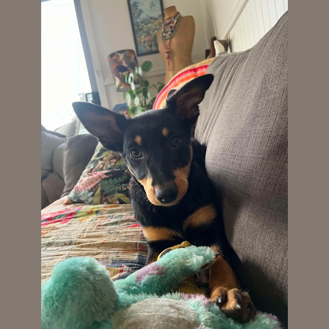 Photo of Hazel