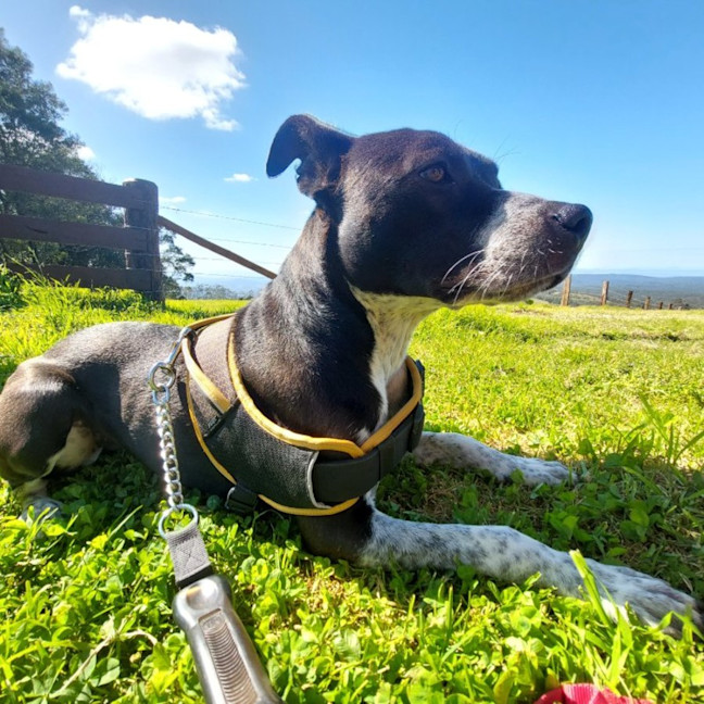 Photo of Maggie