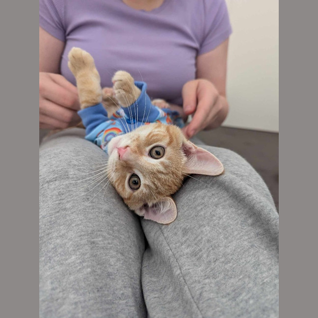 Photo of Ember