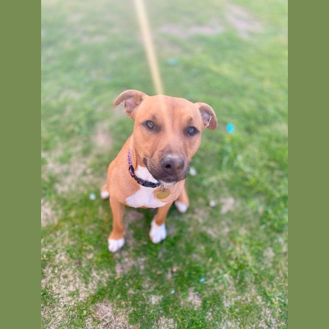 Photo of Rinleigh