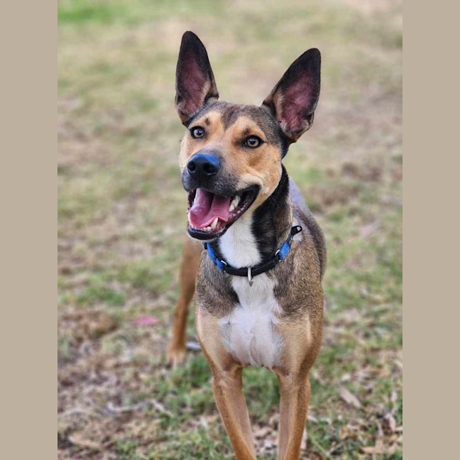 Photo of ⚽ Seamus 5707 ⚽