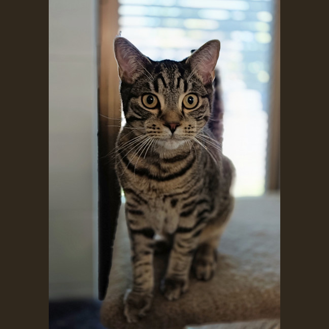 Photo of Fin