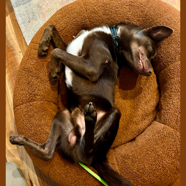 Photo of Max Brenner 🍫 