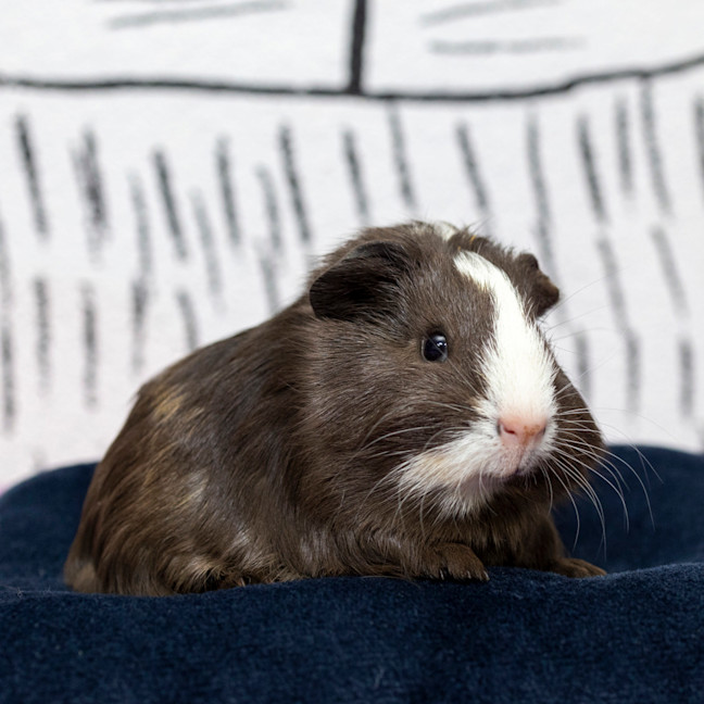 Photo of Richard Bucket