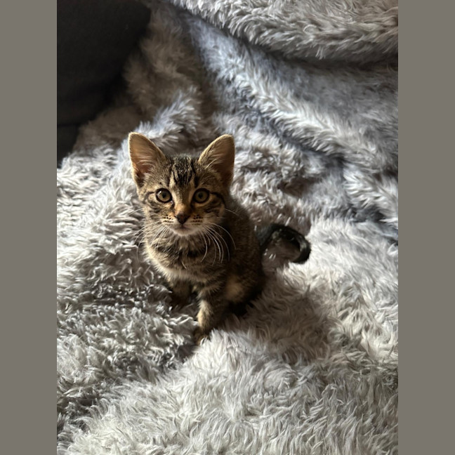 Photo of Tabitha