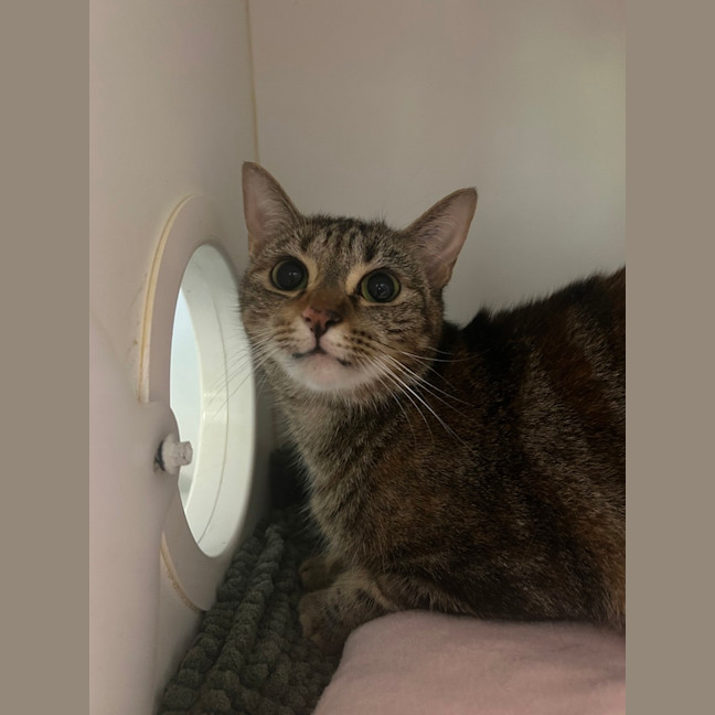 Photo of Mimmy White