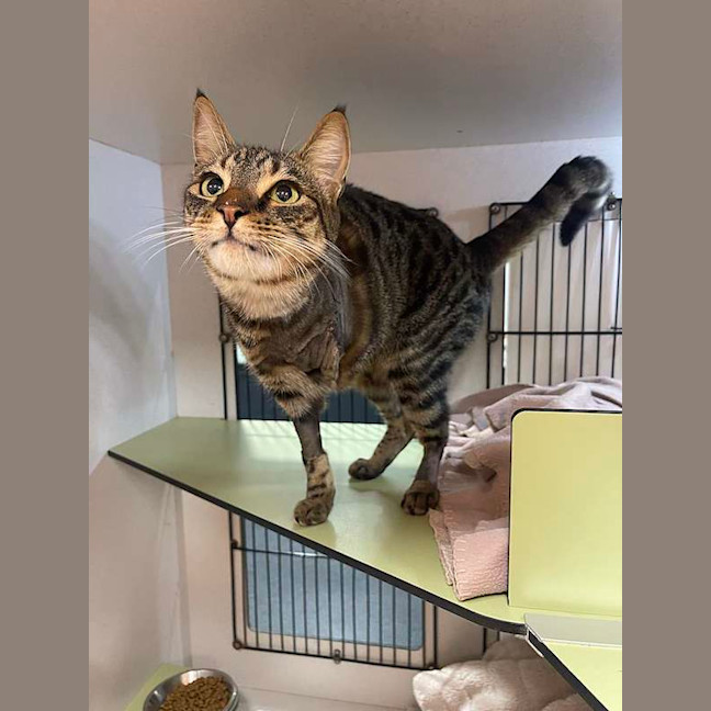 Photo of Lilly