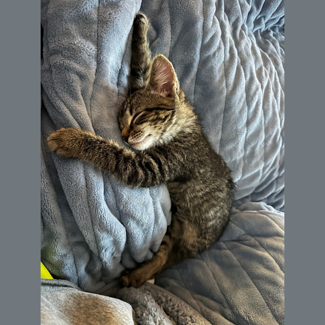 Photo of Tabitha