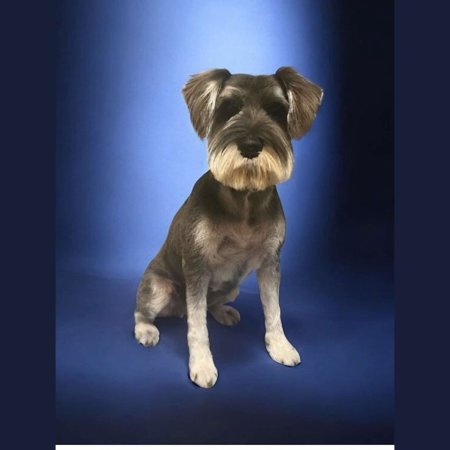 Photo of Cali And Theo